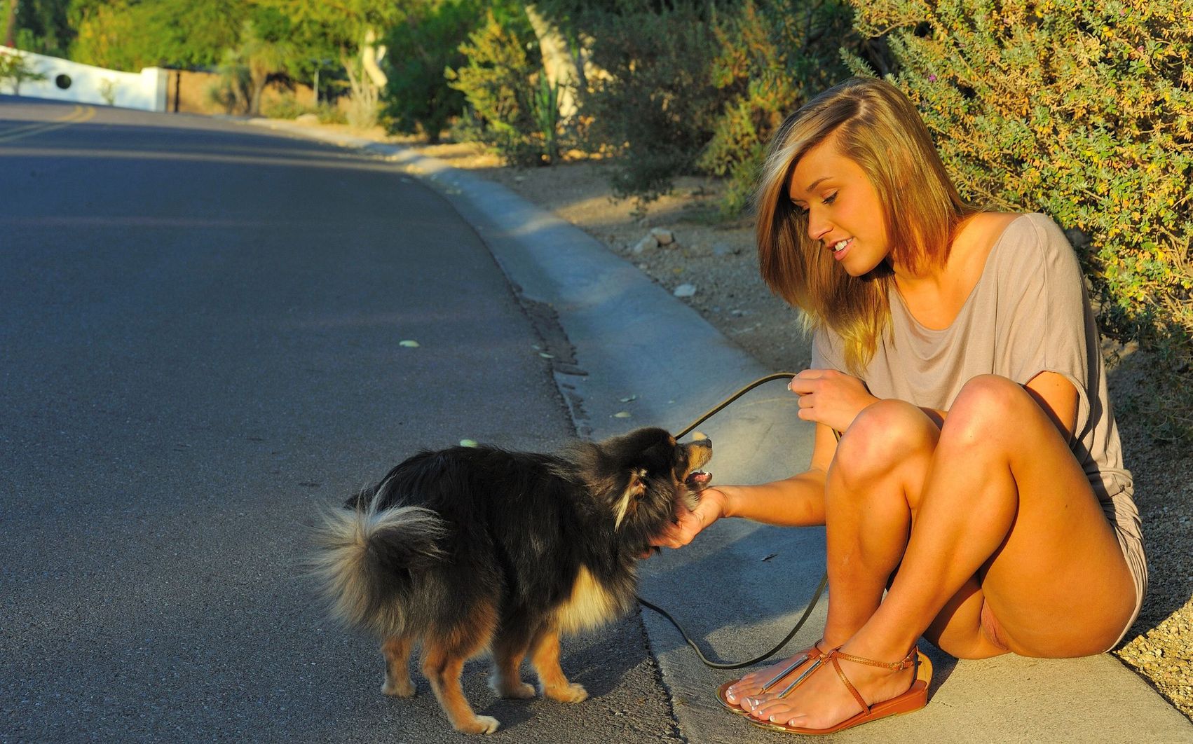 ���������