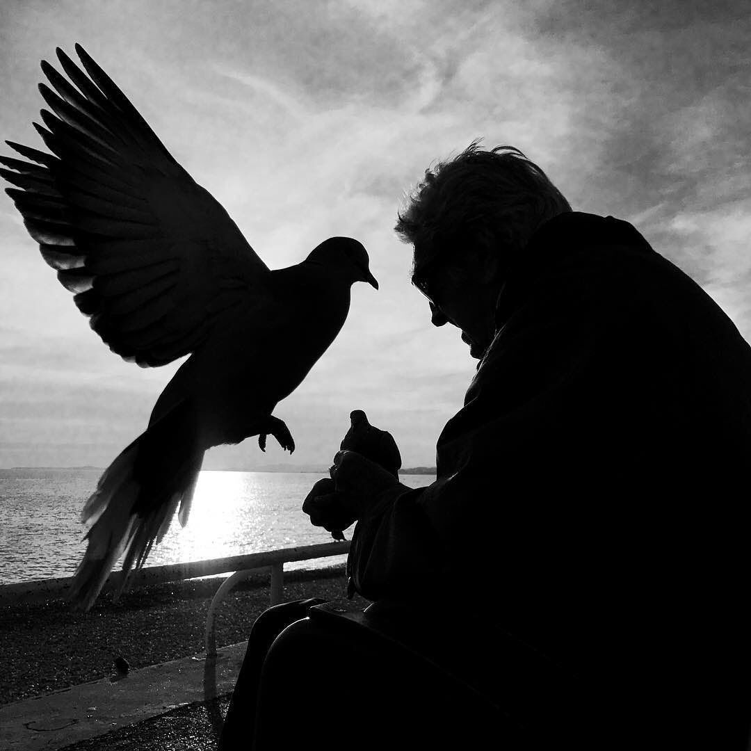 ���������