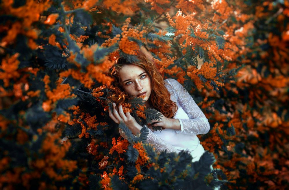 ���������