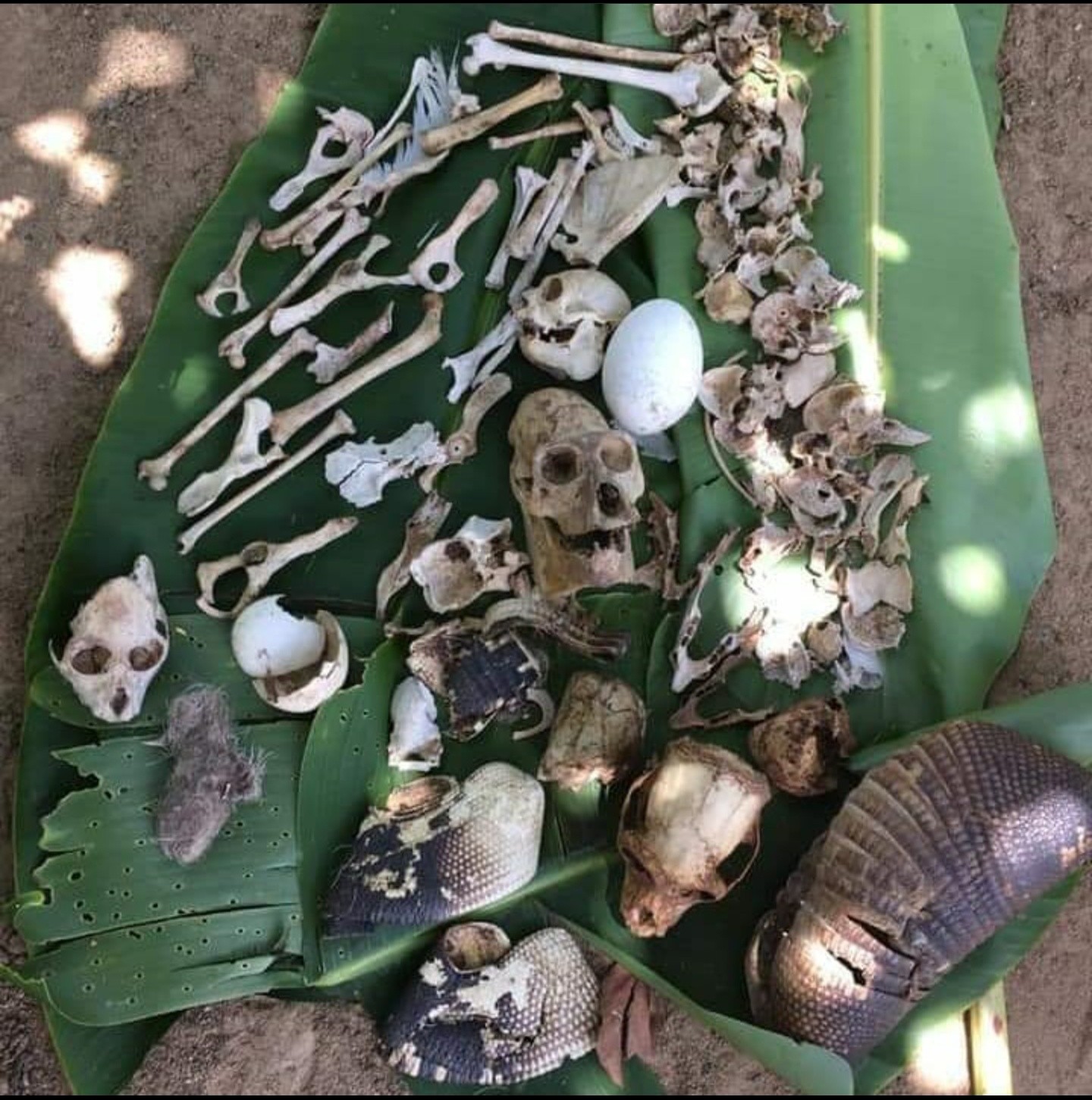 ���������