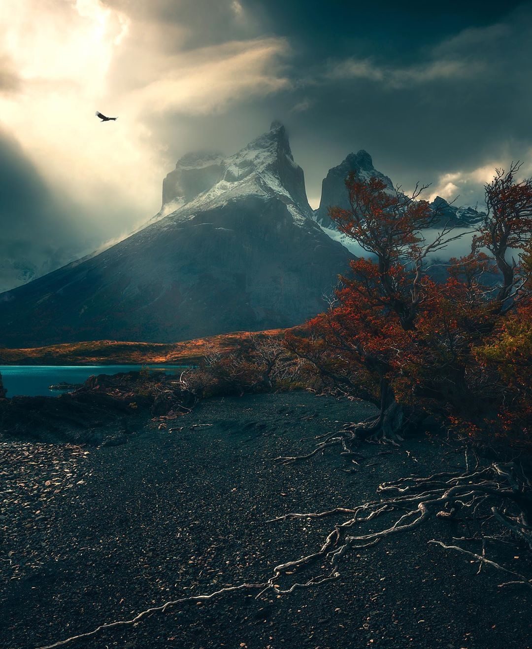 ���������