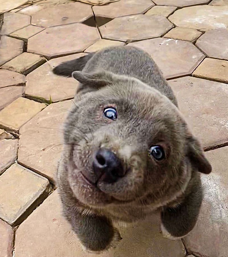 ���������