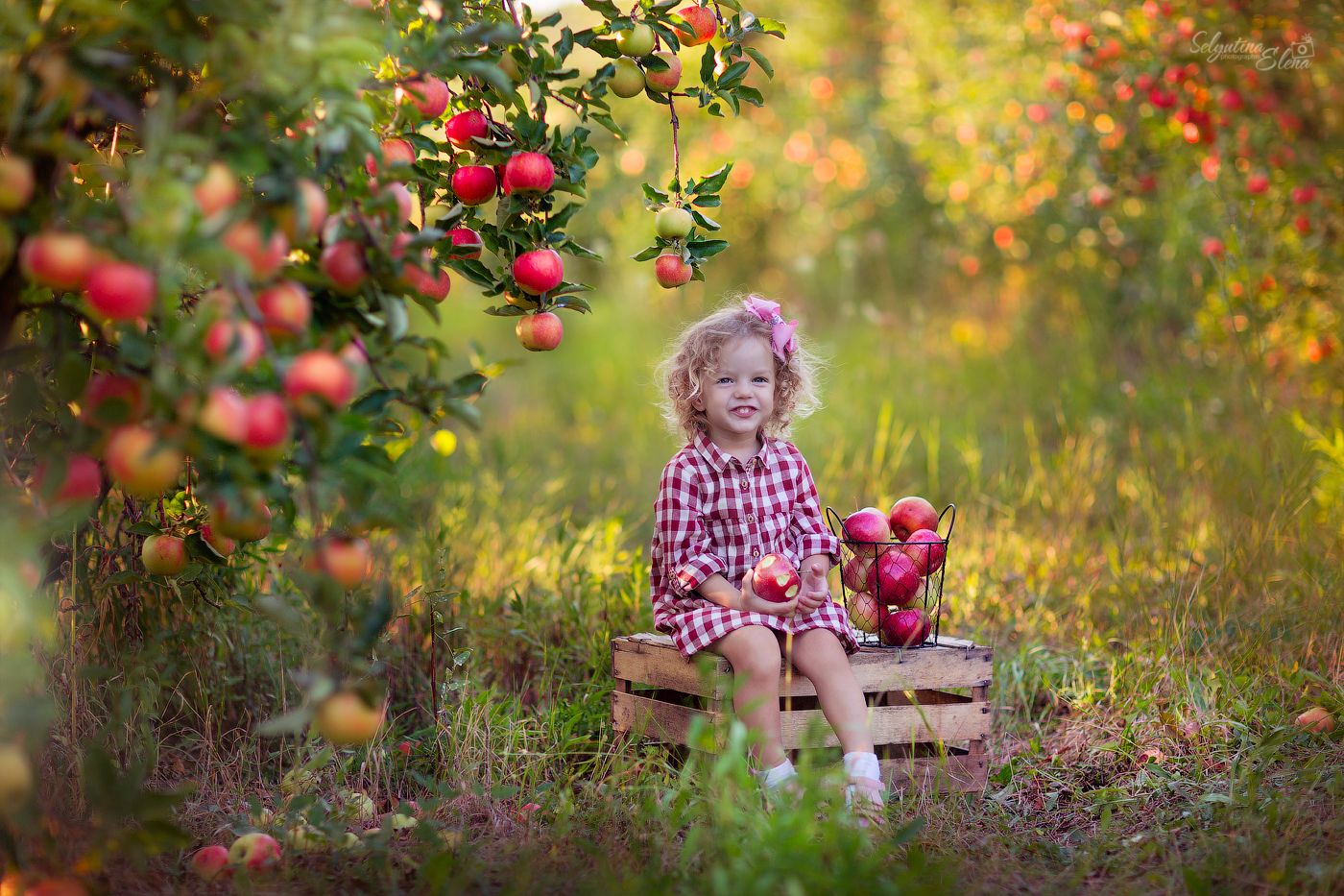 ���������