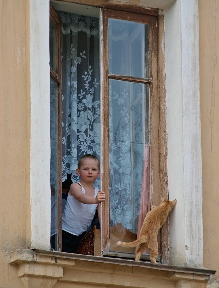 ���������