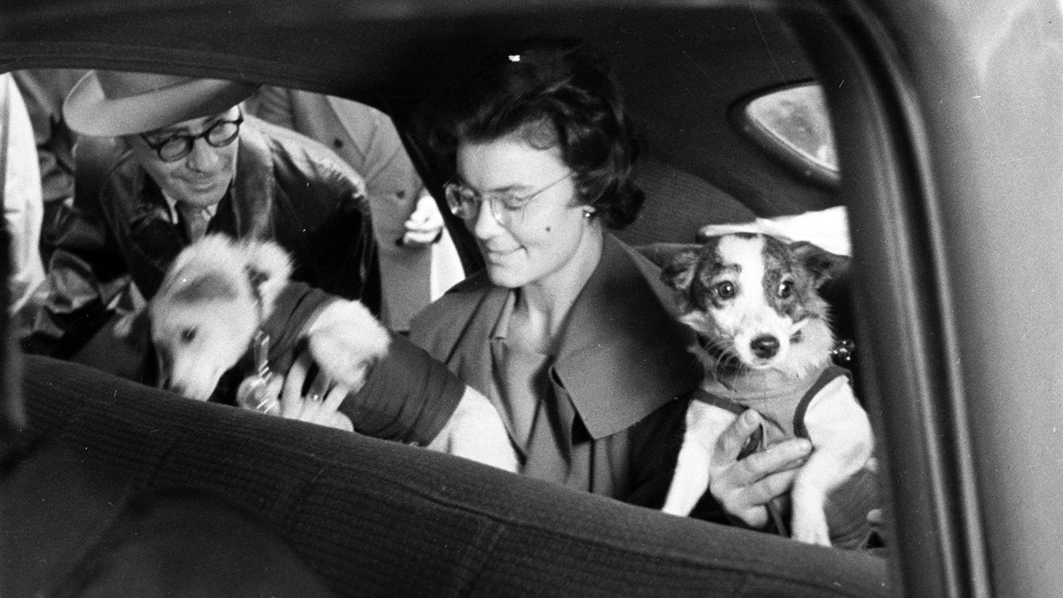 ���������