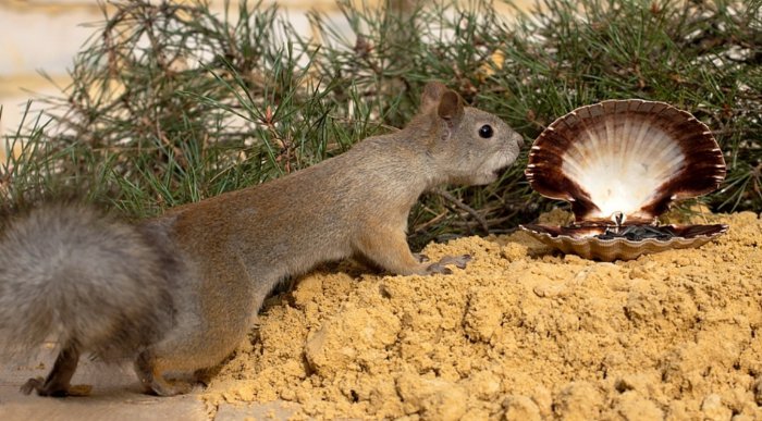 ���������