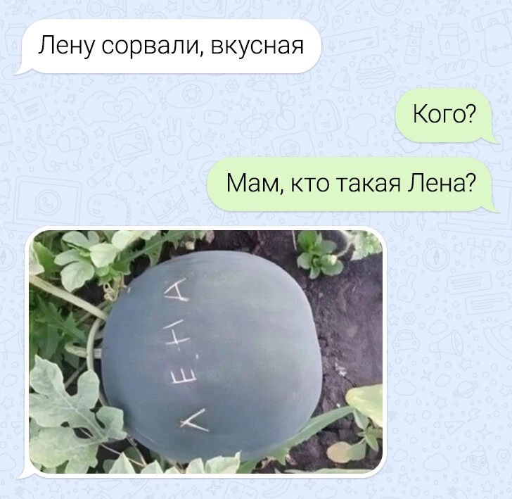 ���������