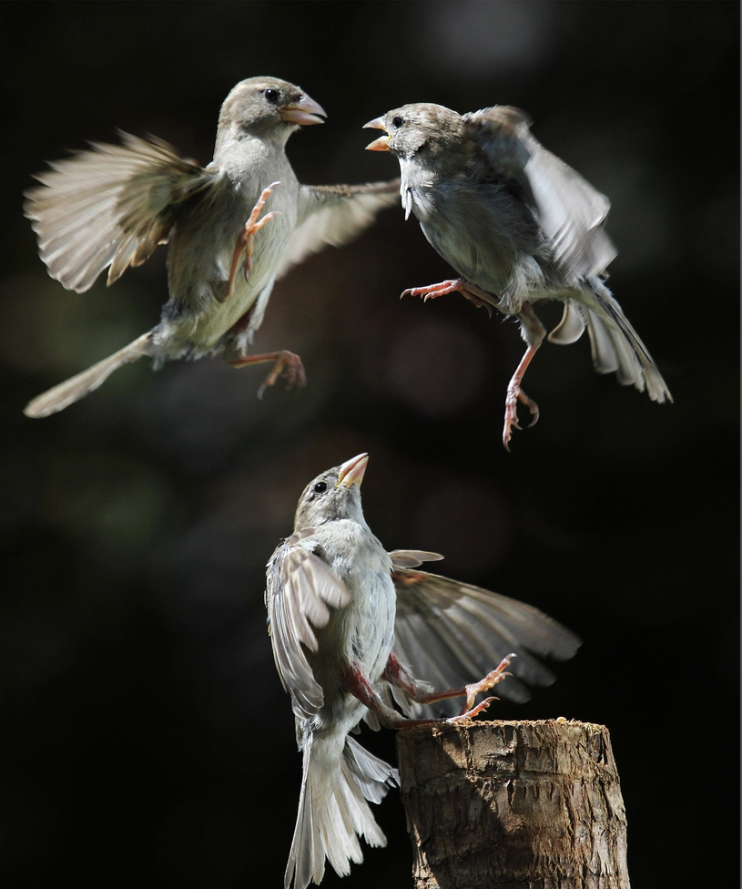 ���������