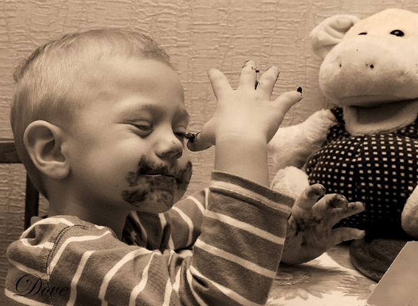 ���������