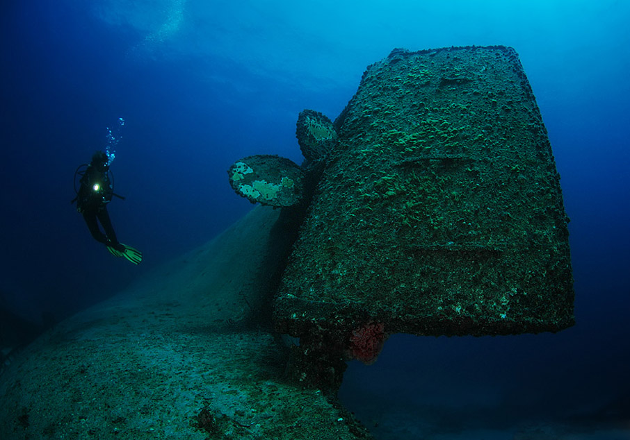 ���������