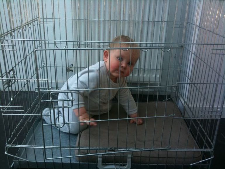 ���������