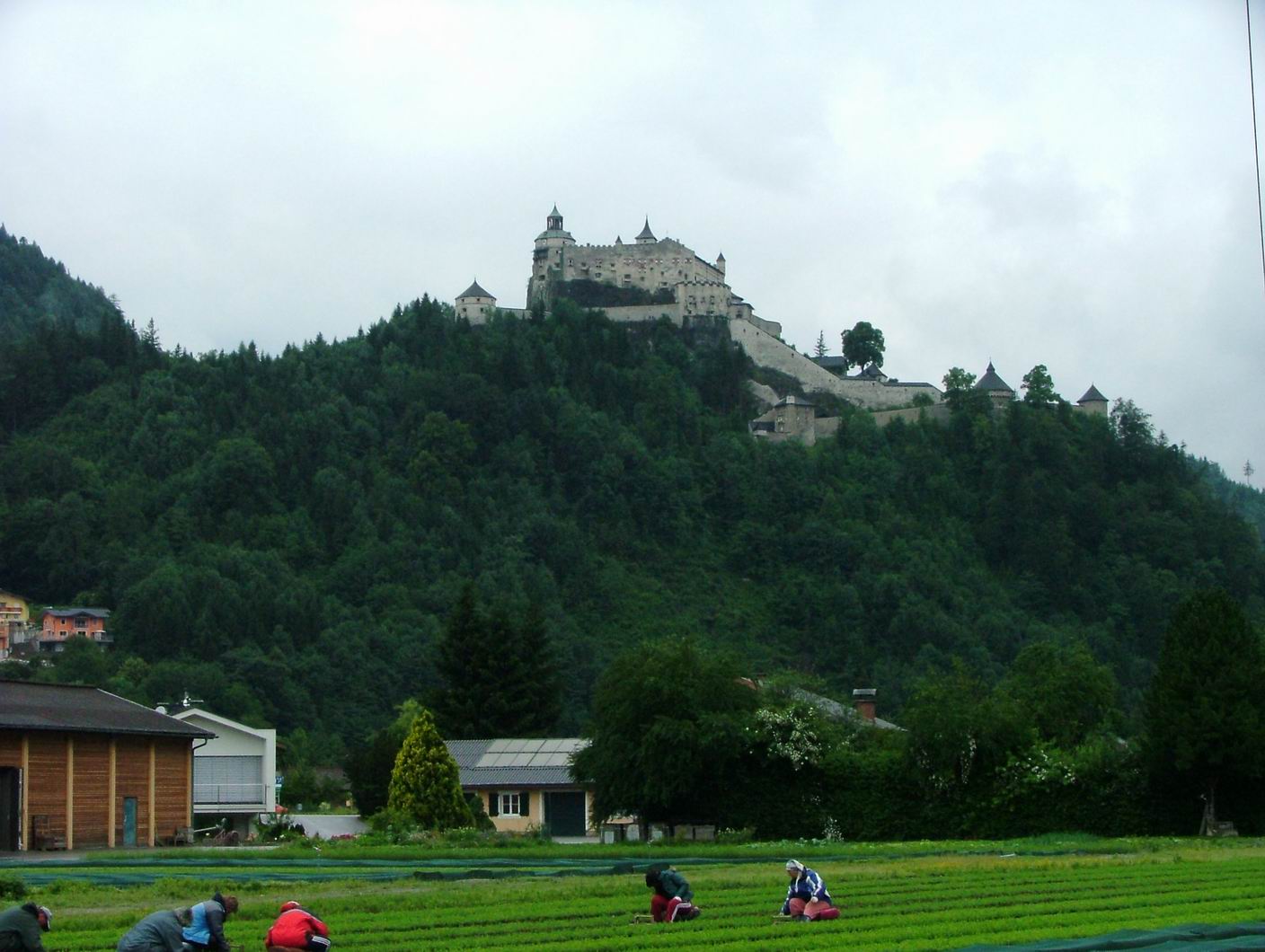 ���������