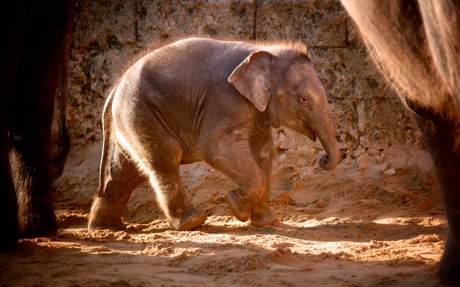 ���������