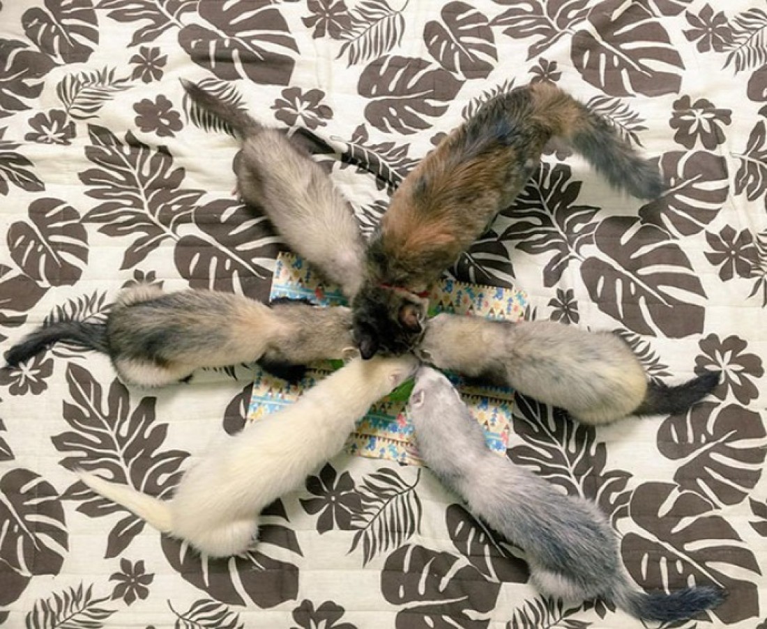 ���������