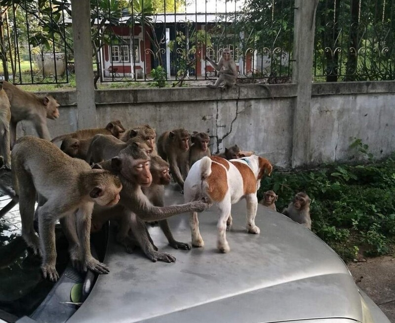 ���������