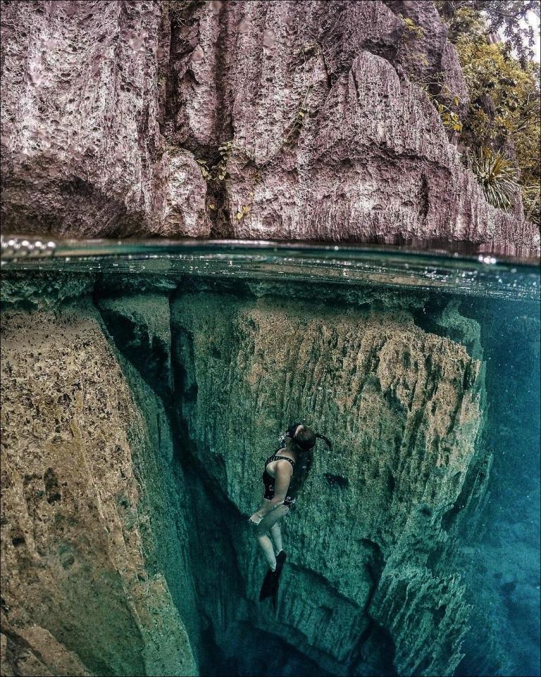 ���������