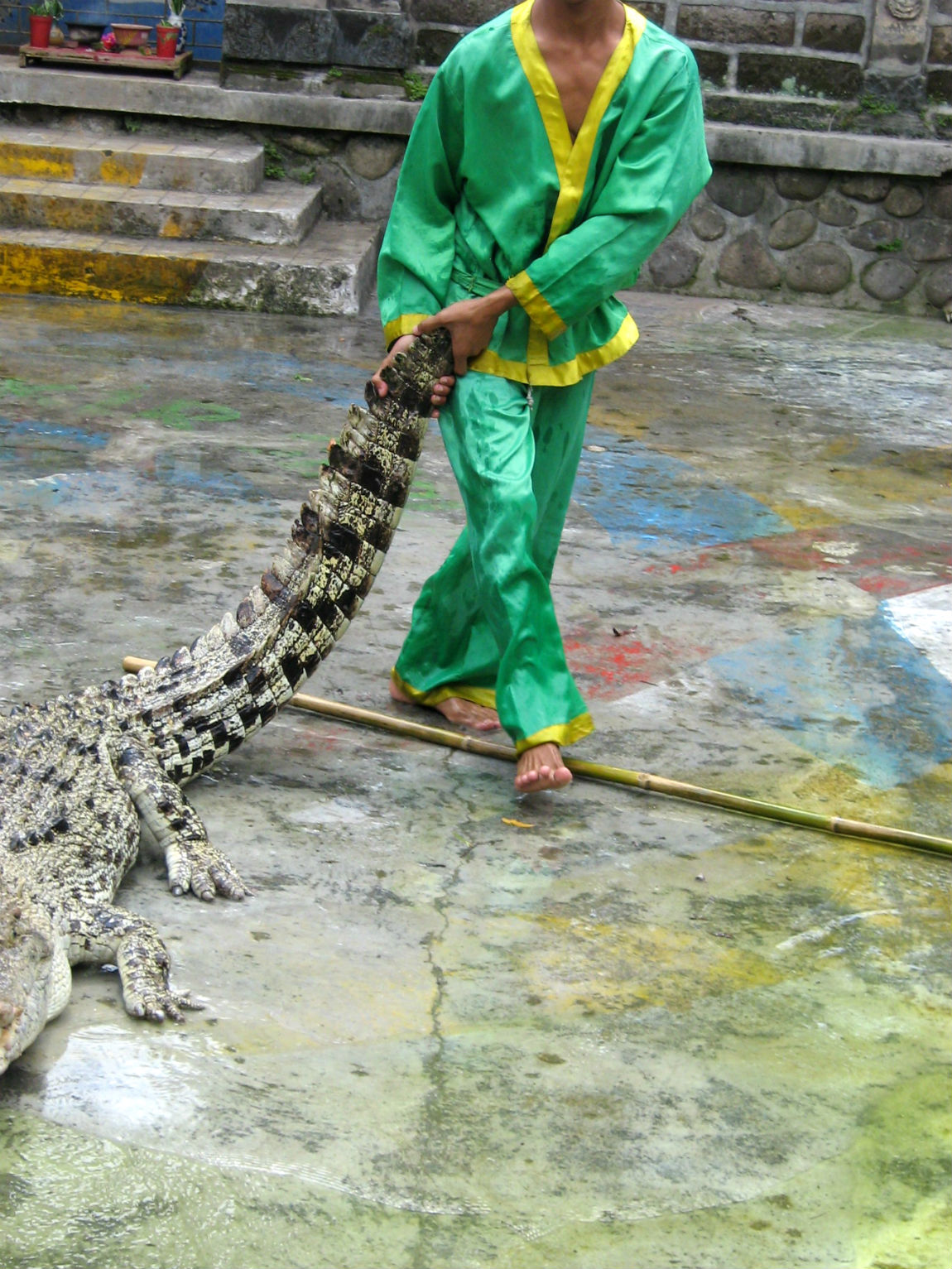 ���������