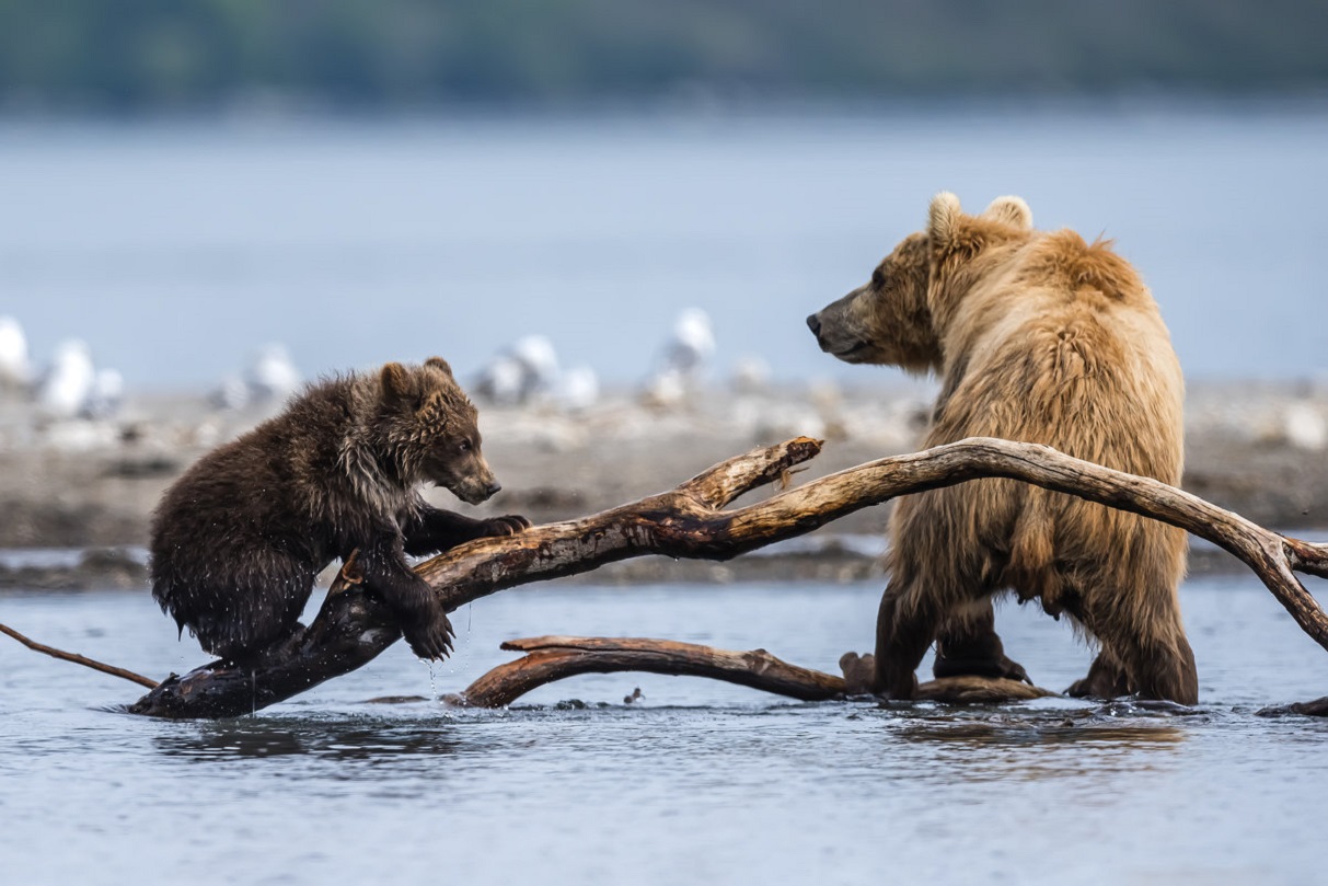 ���������