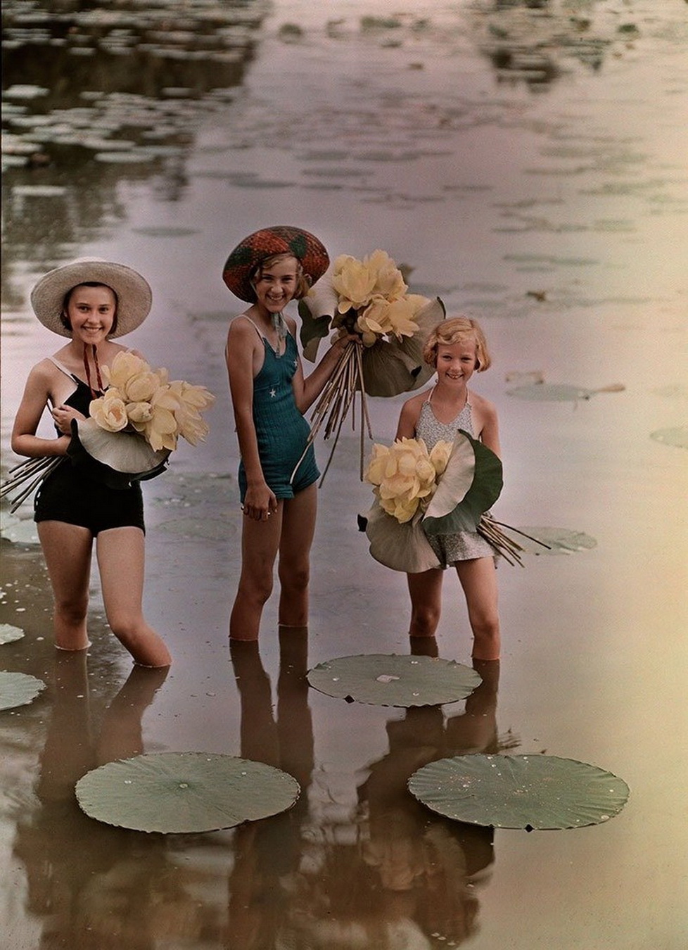 ���������