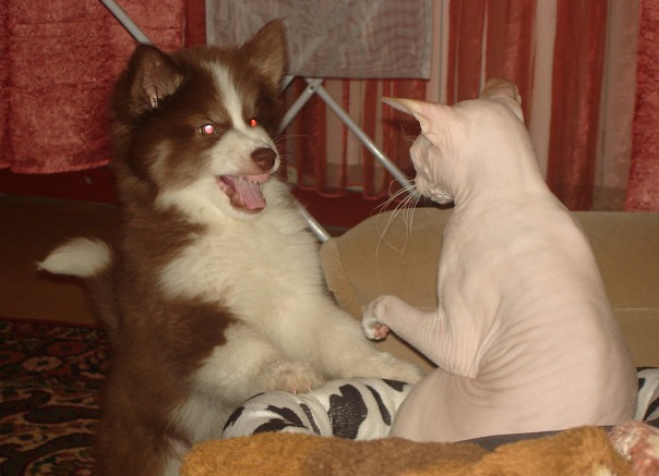 ���������