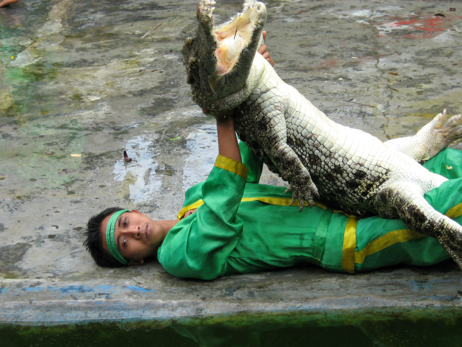 ���������