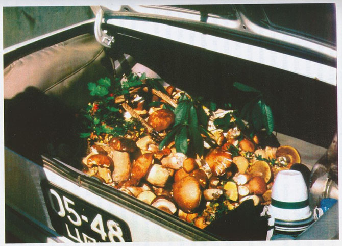 ���������