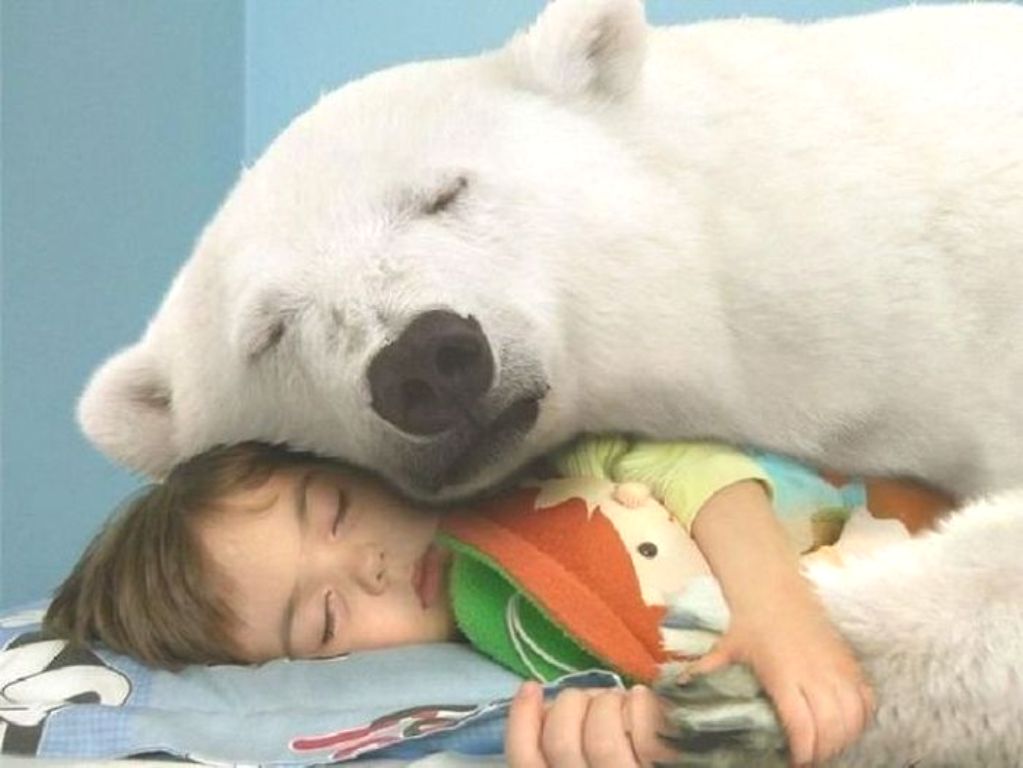 ���������