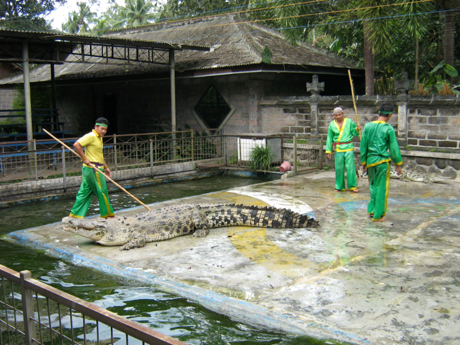 ���������