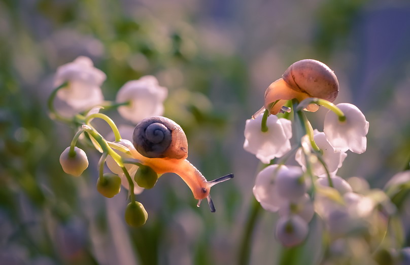 ���������