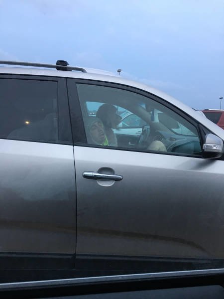 ���������