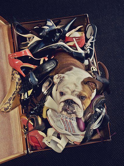 ���������