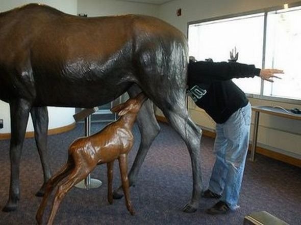 ���������