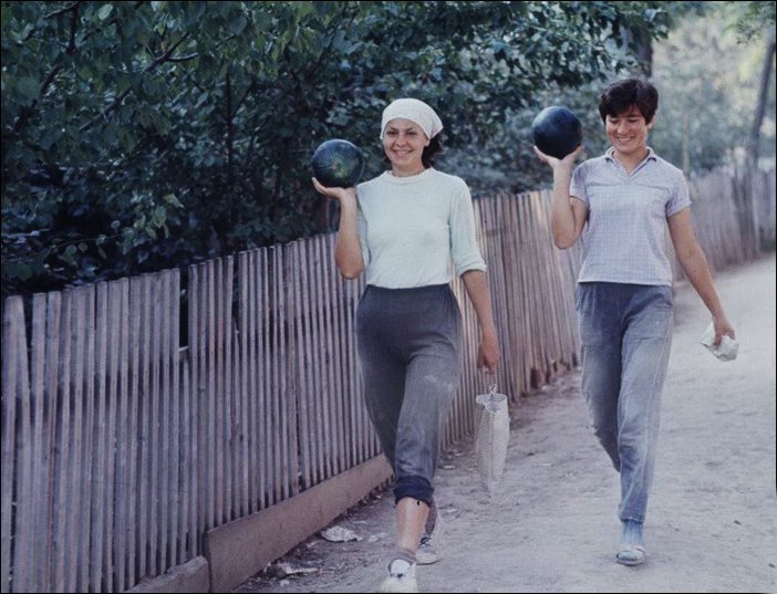 ���������