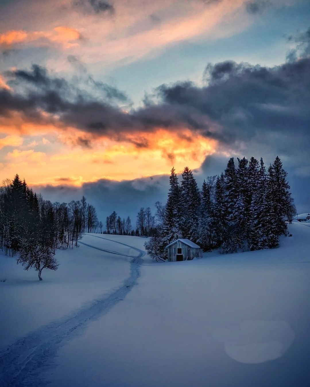 ���������