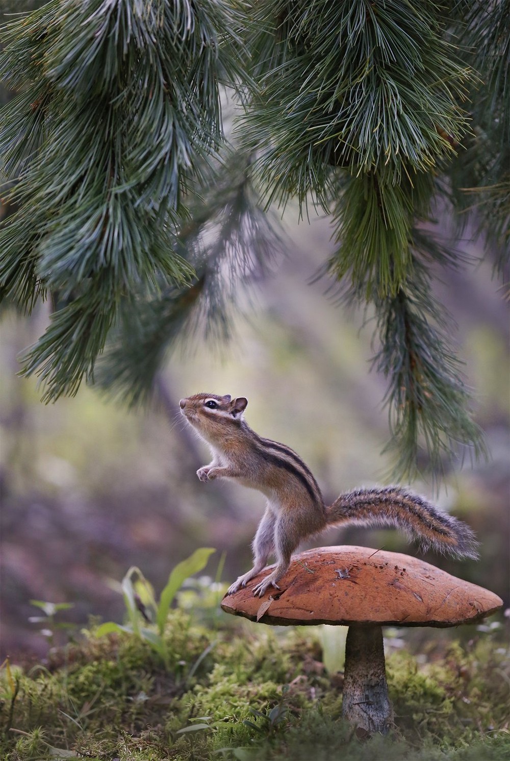 ���������