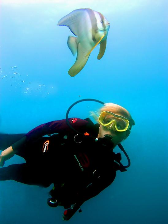 ���������