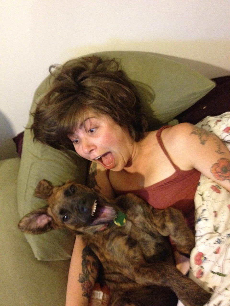 ���������