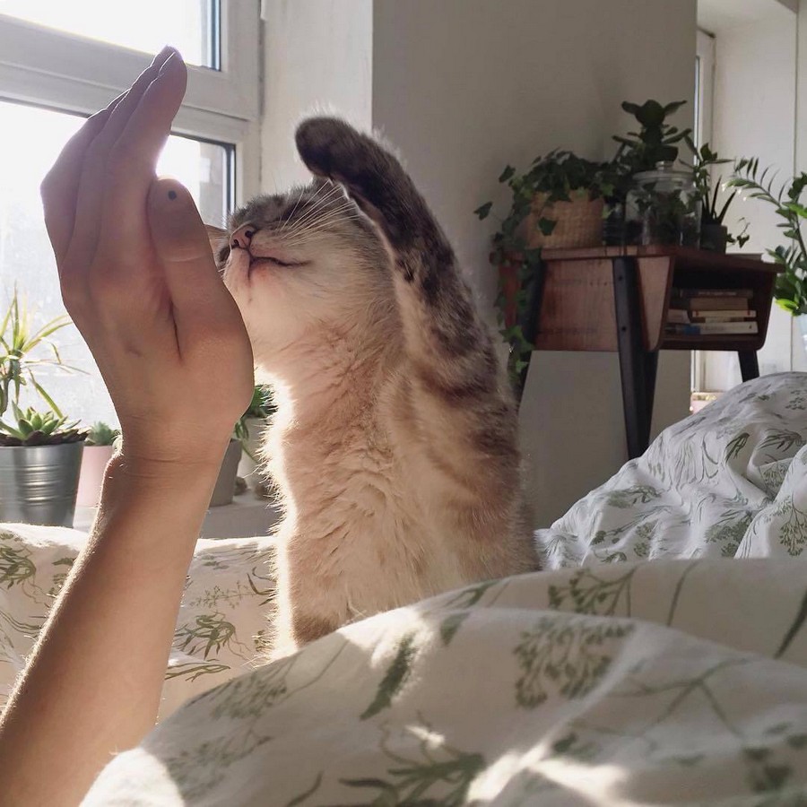 ���������