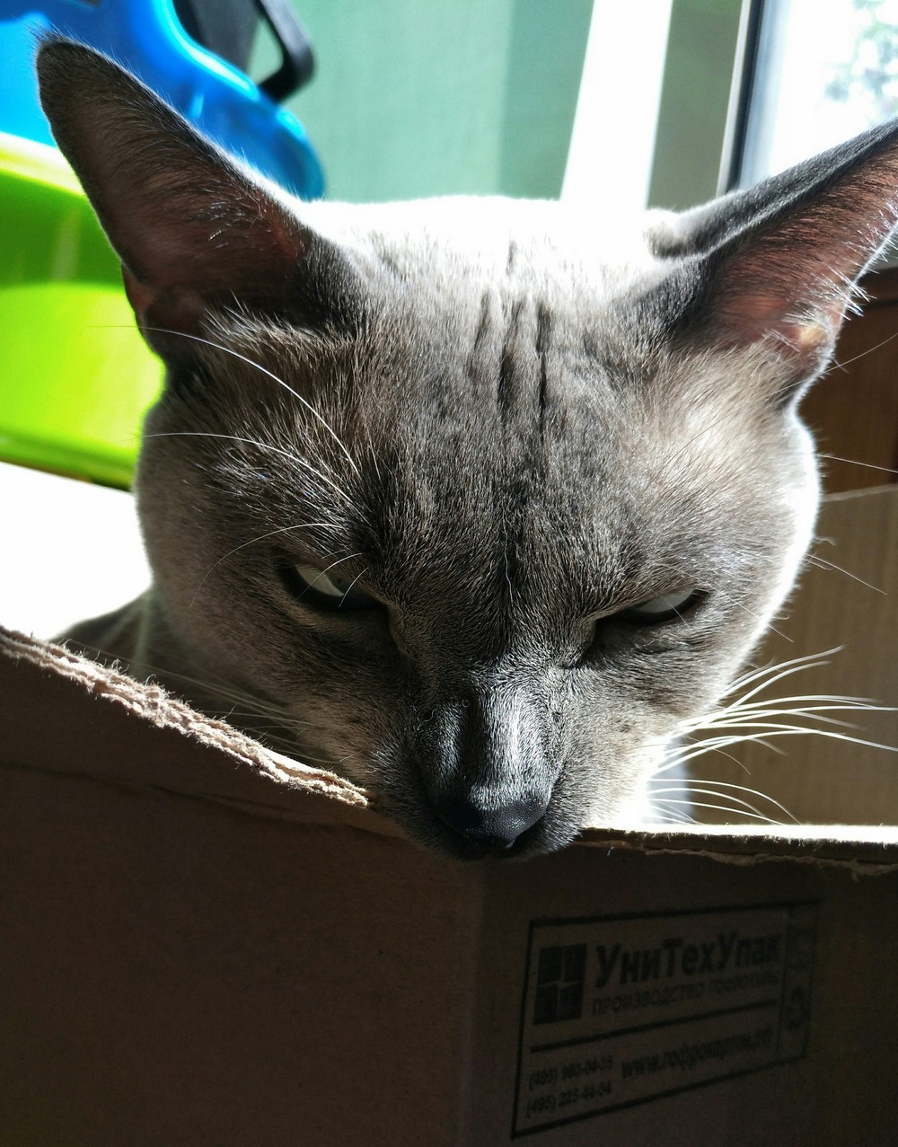 ���������