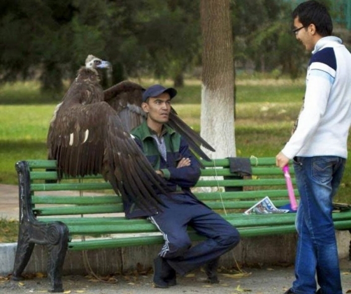 ���������