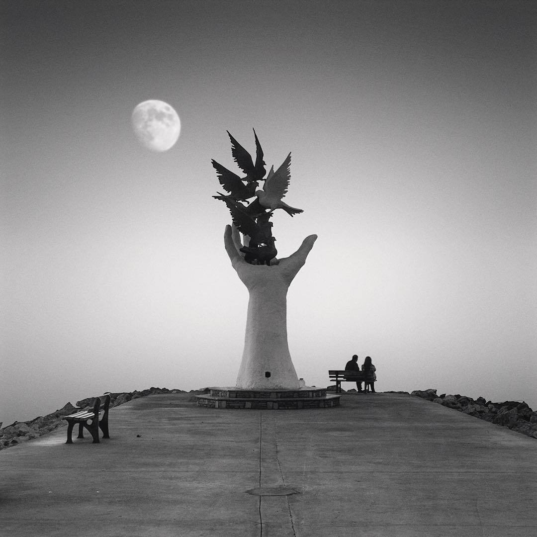 ���������