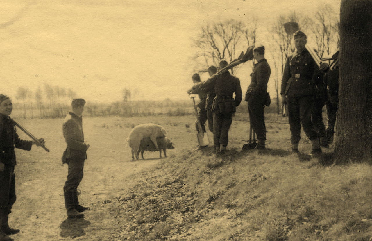 ���������