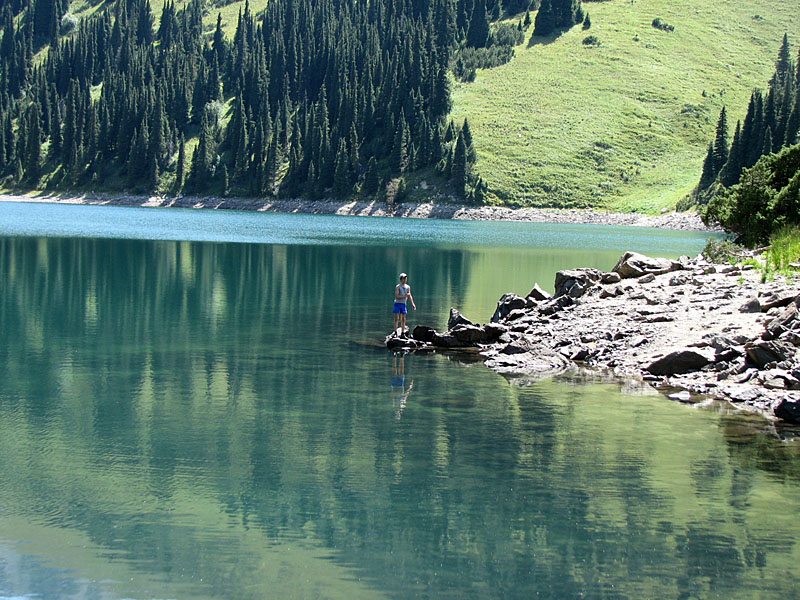 ���������