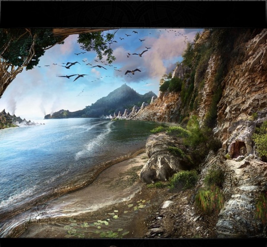 ���������