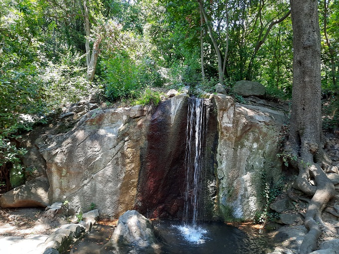 ���������