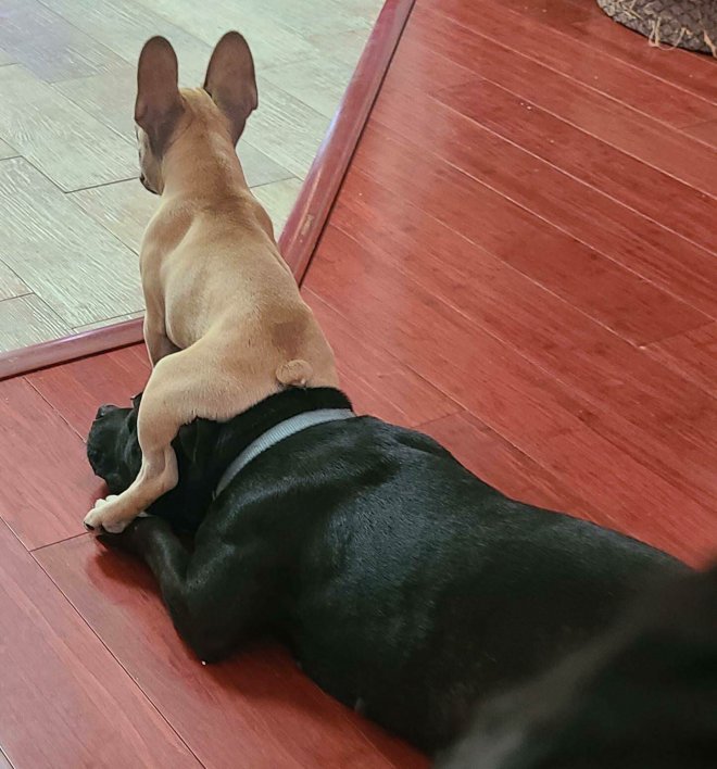 ���������