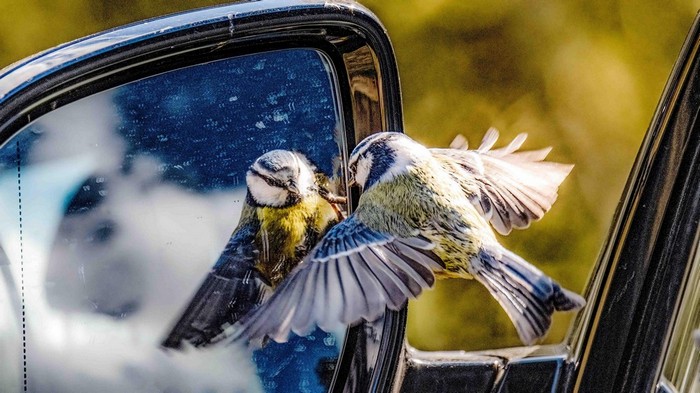 ���������