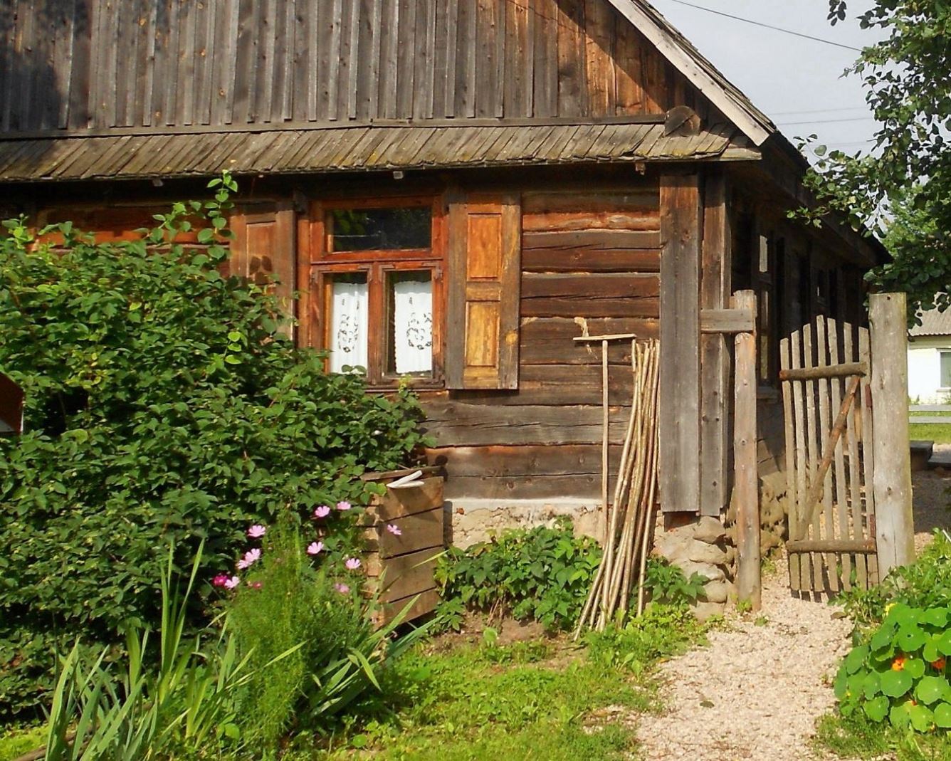 ���������