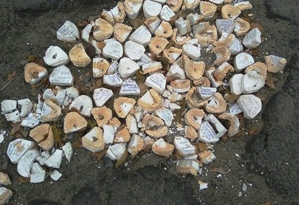 ���������