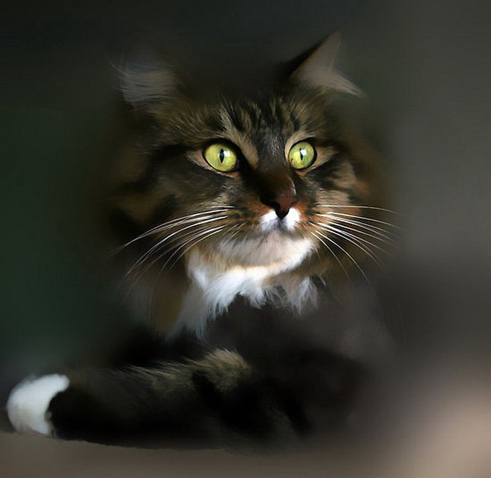 ���������